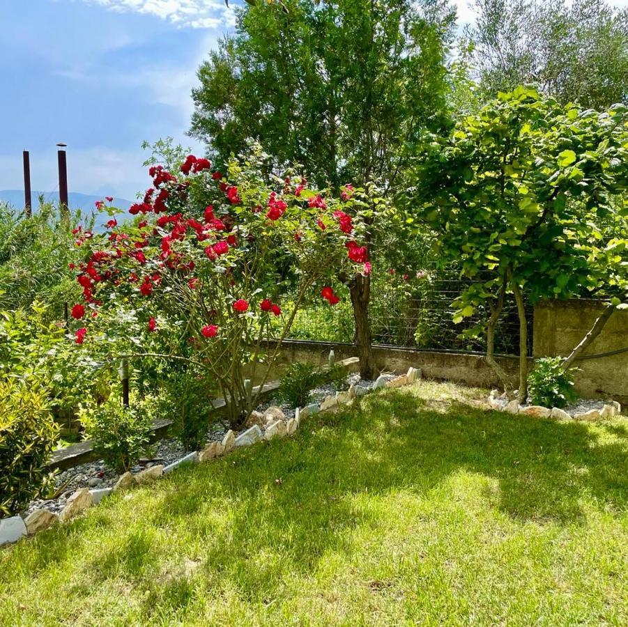 Cortina House Berat Apartman Kuçova Kültér fotó